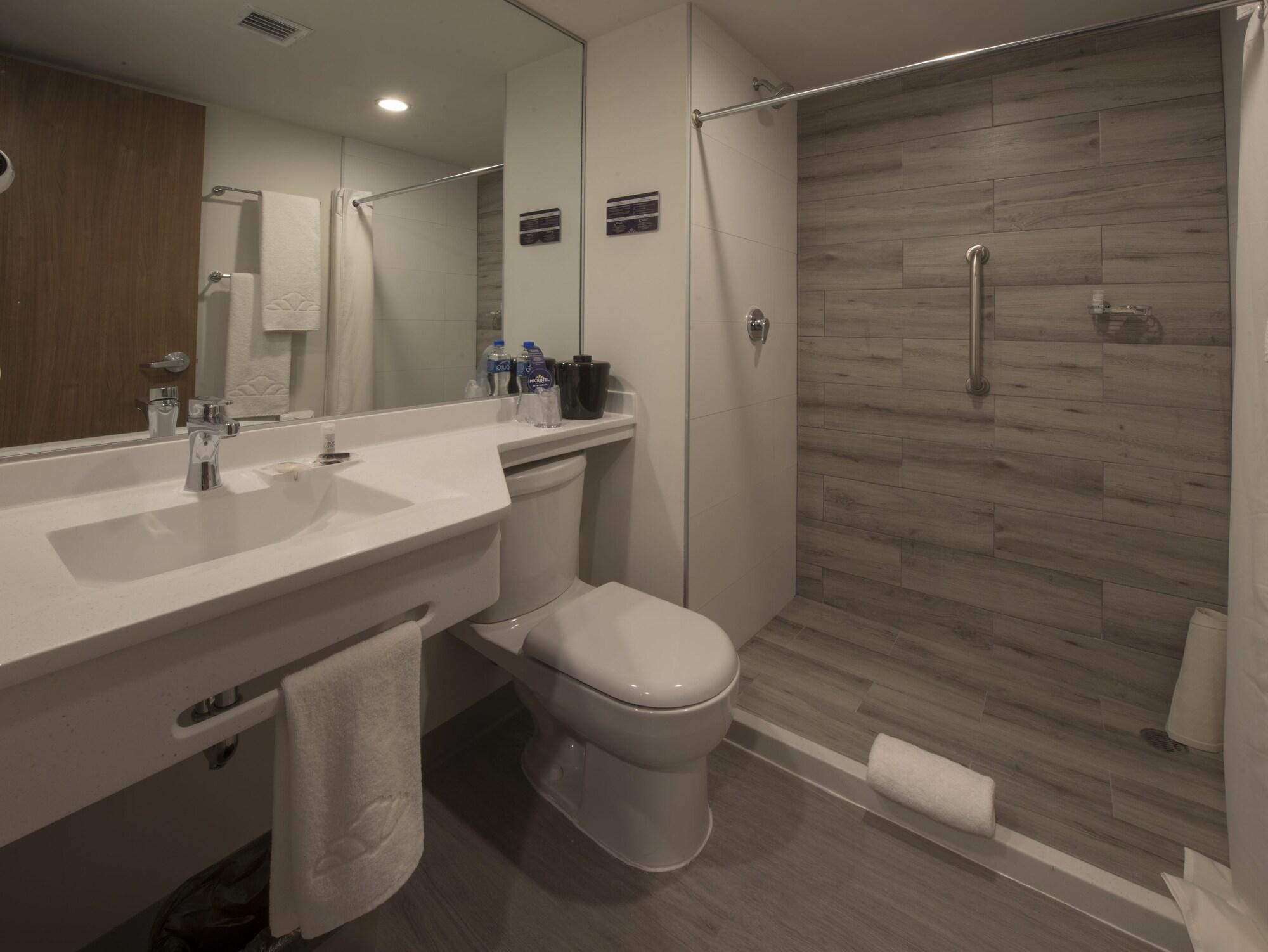 Microtel Inn & Suites By Wyndham Irapuato Exterior foto